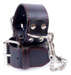 Catuse Fetish Handcuffs din piele eco cu prinderi si detalii metalice, negru