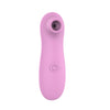 Stimulator clitoris cu suctiune si 10 moduri de vibratii, incarcare USB, silentios, silicon premium, roz